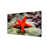 Hikvision D2055LU-Y ЖК-дисплей 55"