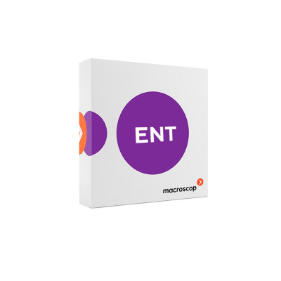 Экземпляр программного обеспечения MACROSCOP Enterprise (64-х разрядная) на 1 IP камеру