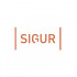 SIGUR ПО «Выгрузка табеля в 1С» Дополнительный модуль